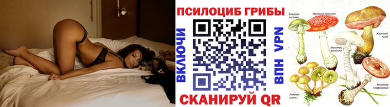 сайты даркнета Telegram  Железногорск-Илимский  Псилоцибиновые грибы GOLDEN TEACHER  сколько стоит 